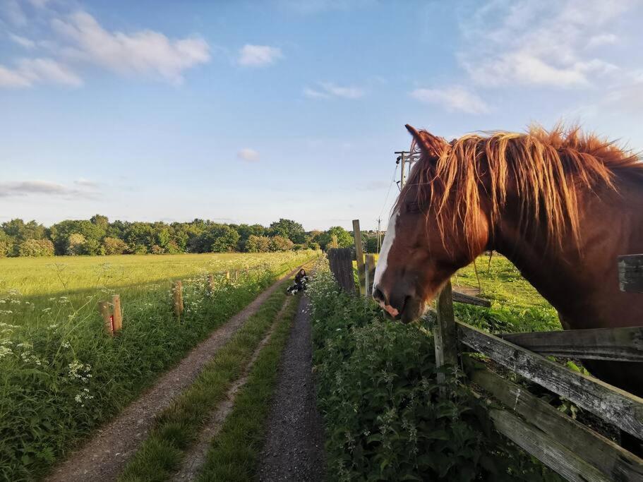 Ender'S Place. A Lovely Home Close To Durham City. New Brancepeth Buitenkant foto